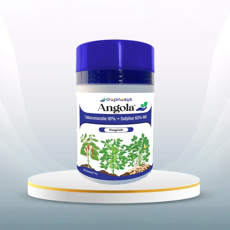 Angola®