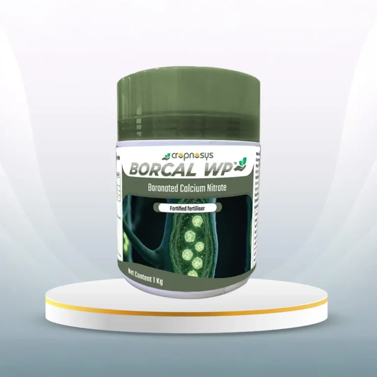 Borcal WP™