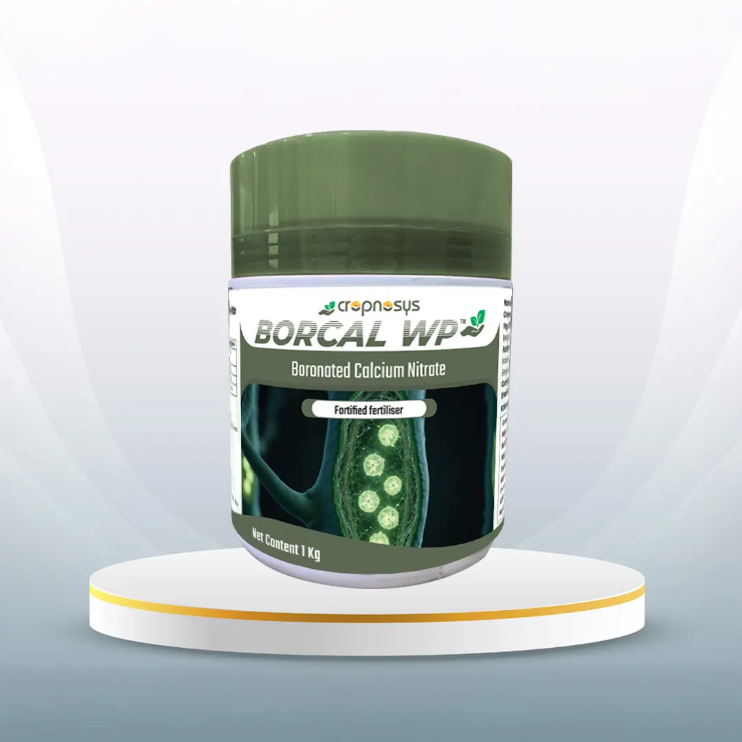 Borcal WP™
