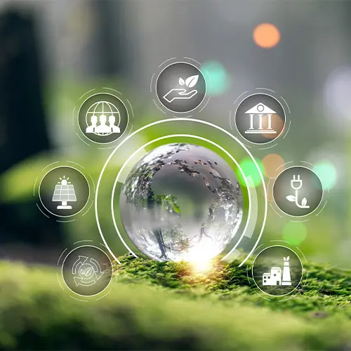 Innovation and Projects - Cropnosys India