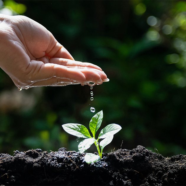 Explore Our Range of Cutting-Edge Crop Solutions