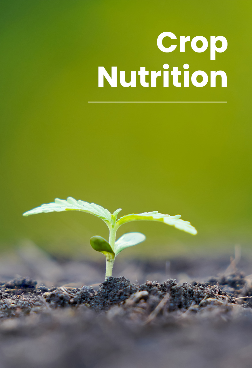 Crop Nutrition