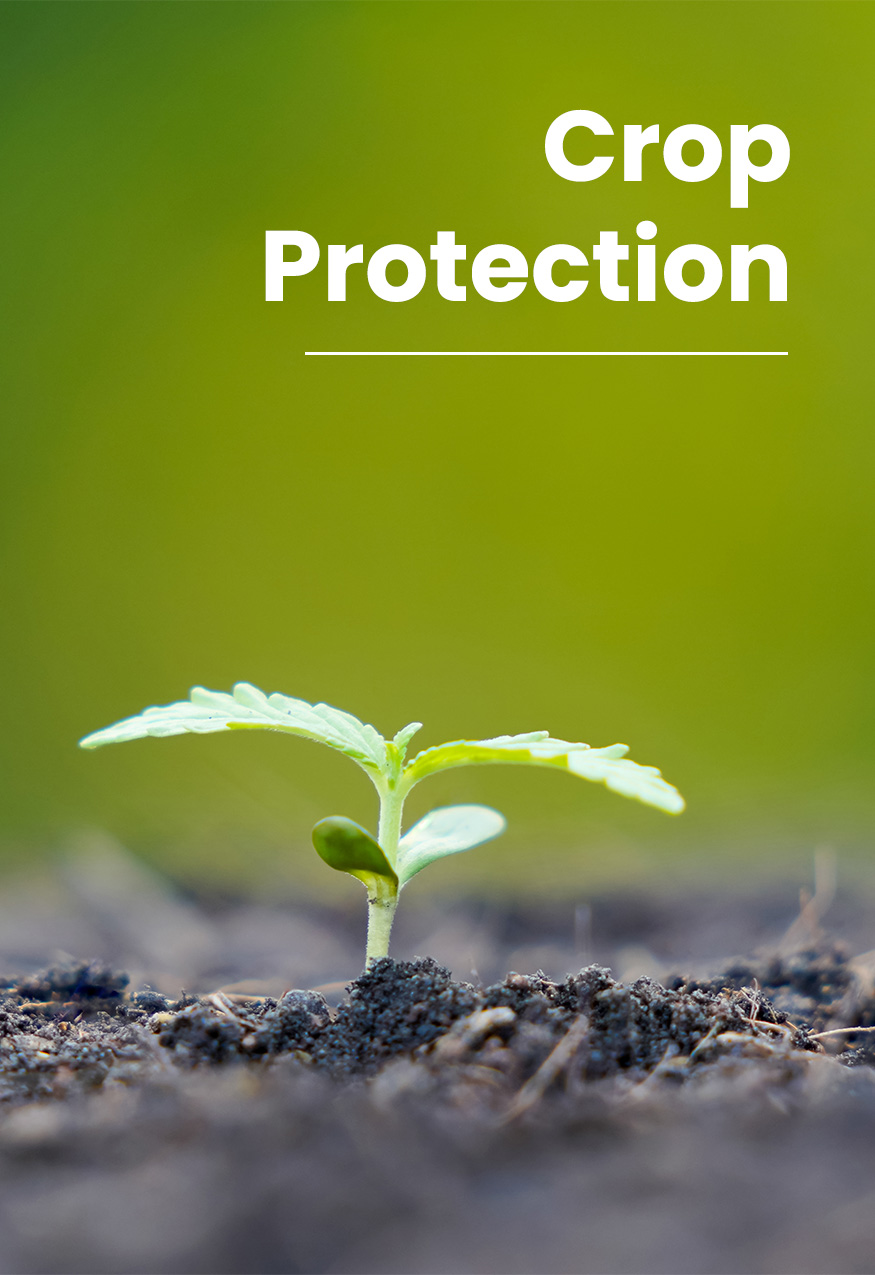 Crop Protection