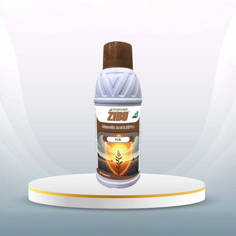 Zibu®