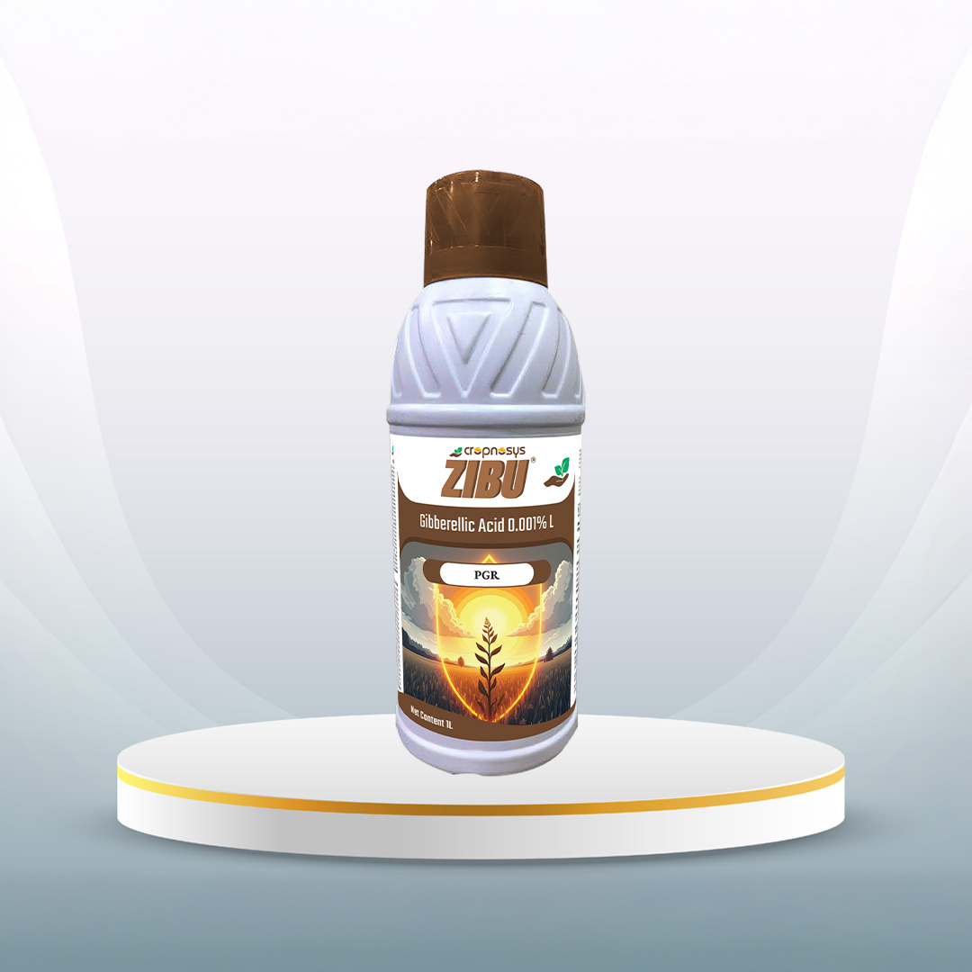 Zibu®