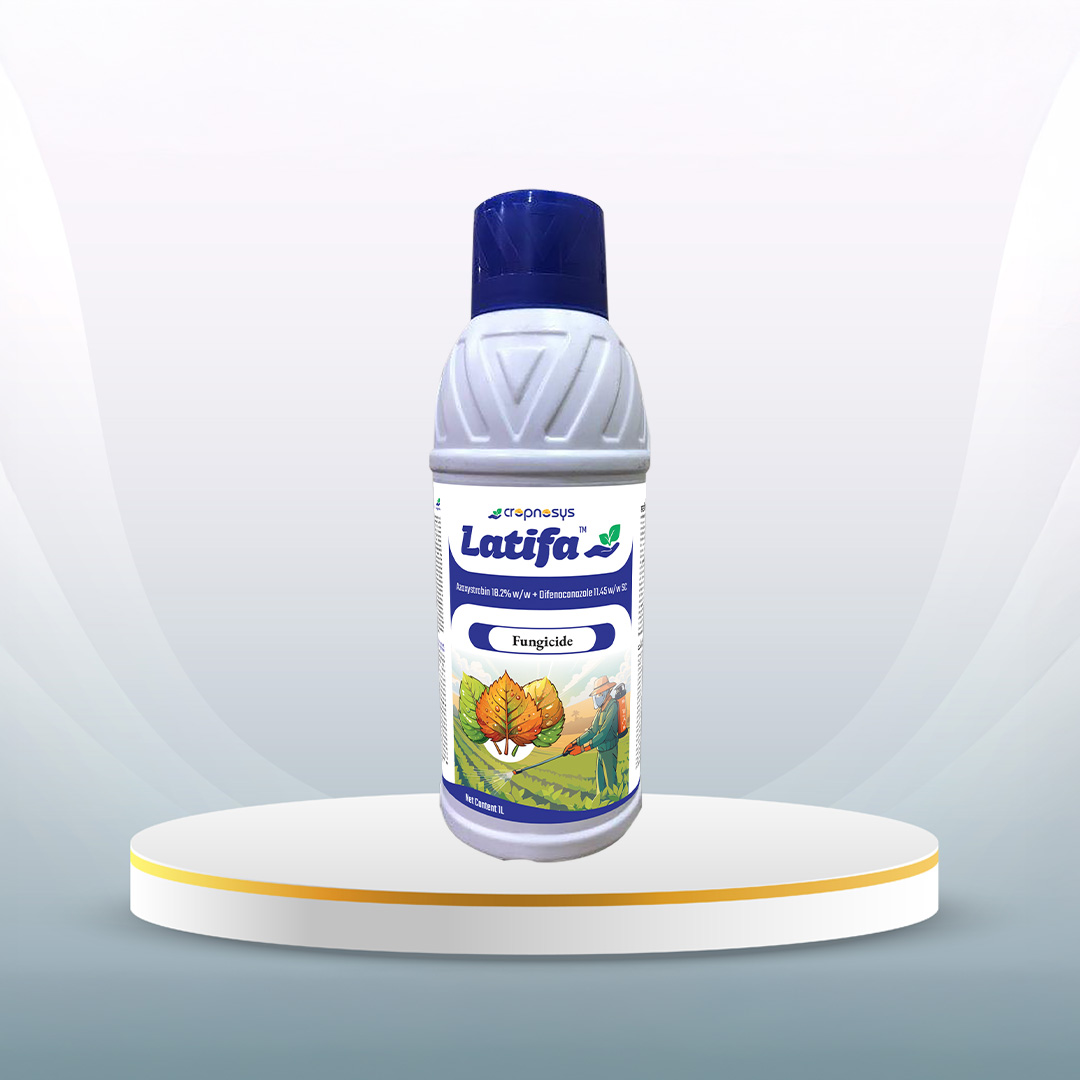 Latifa®