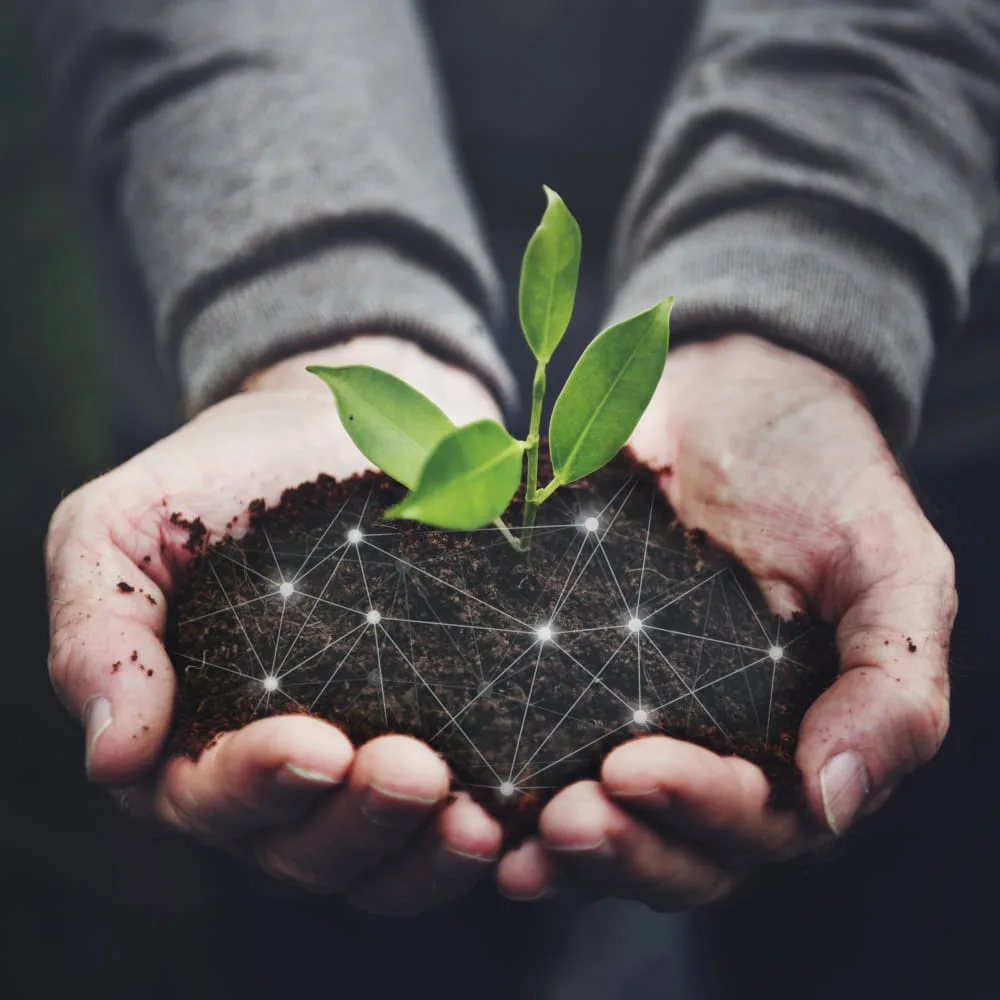 Explore Our Range of Cutting-Edge Crop Solutions
